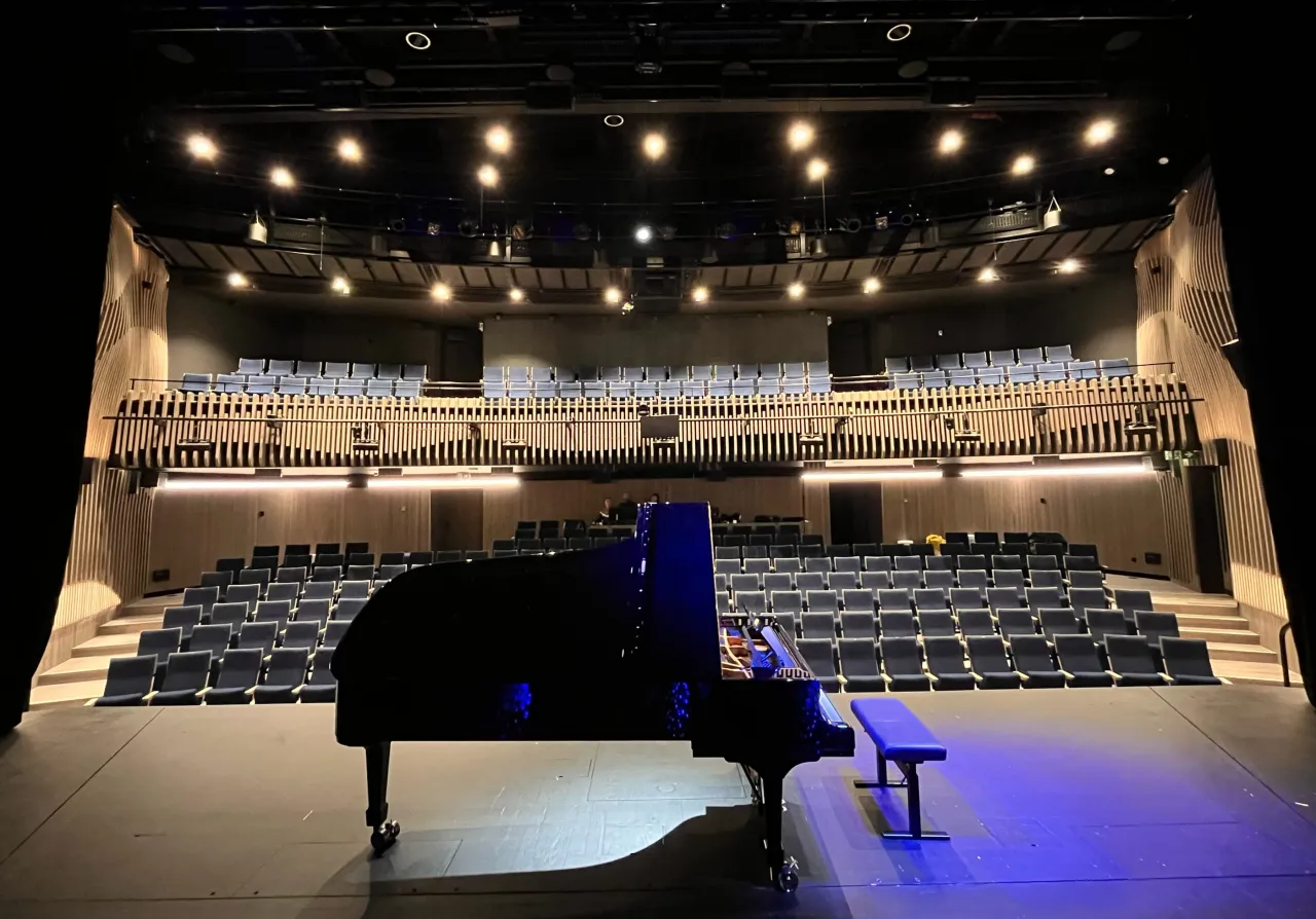 Concert performance